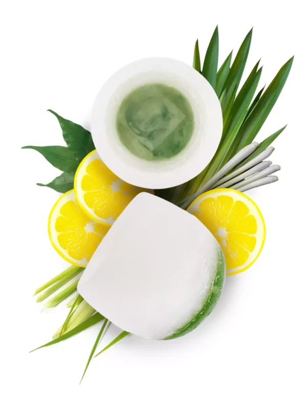 Candil de Limón /Lemon Grass - Imagen 4
