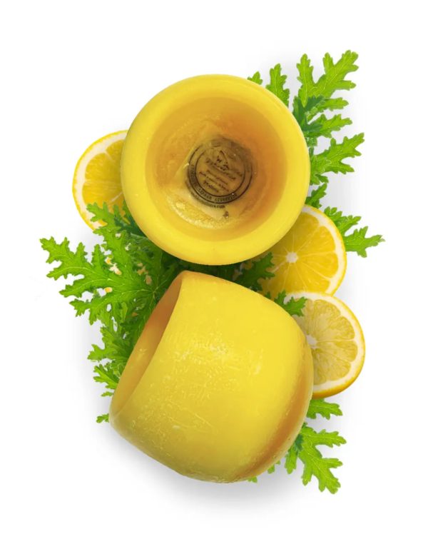 Candil de Limón /Lemon Grass